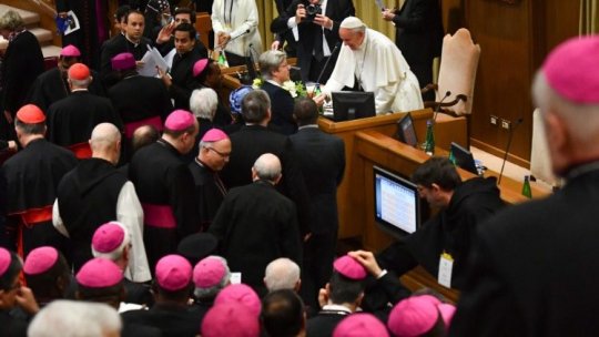 Vatican- reuniune consacrată protejării minorilor în Biserica Catolică