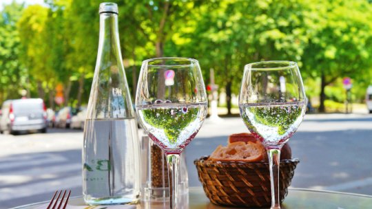 Probleme la zi: Apa minerală – produs strategic şi terapeutic