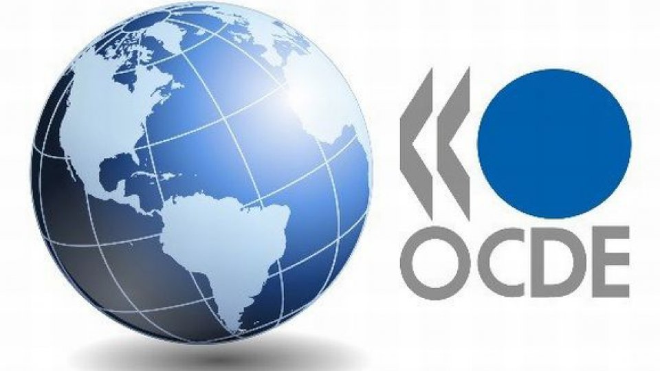 OCDE: economiile importante vor încetini creşterea