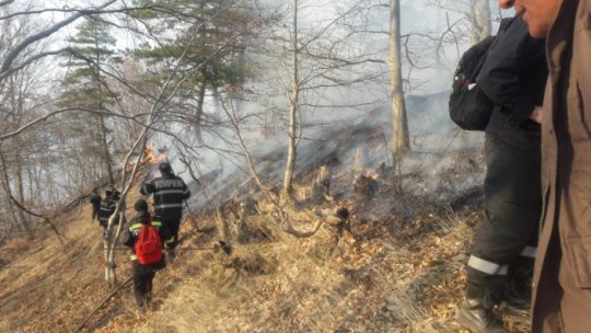 Mai multe incendii de vegetaţie în judeţul Vrancea