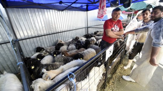 Jud. Vrancea: Controale la produsele tradiționale de Paști