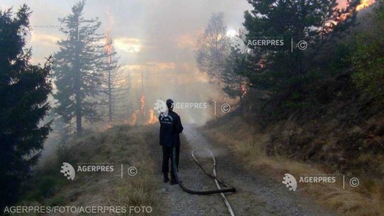 Circulaţia pe Valea Oltului- afectată de un incendiu de vegetaţie