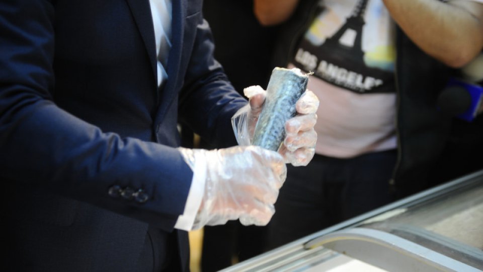 Percheziții de amploare. 30 de tone de peşte au fost confiscate