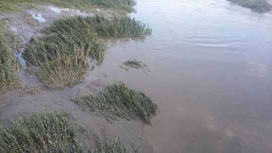 Zeci de gospodării inundate în județul Satu Mare