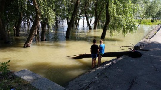 Restricţii de trafic pe digul-șosea Măcin-Smârdan din județul Tulcea