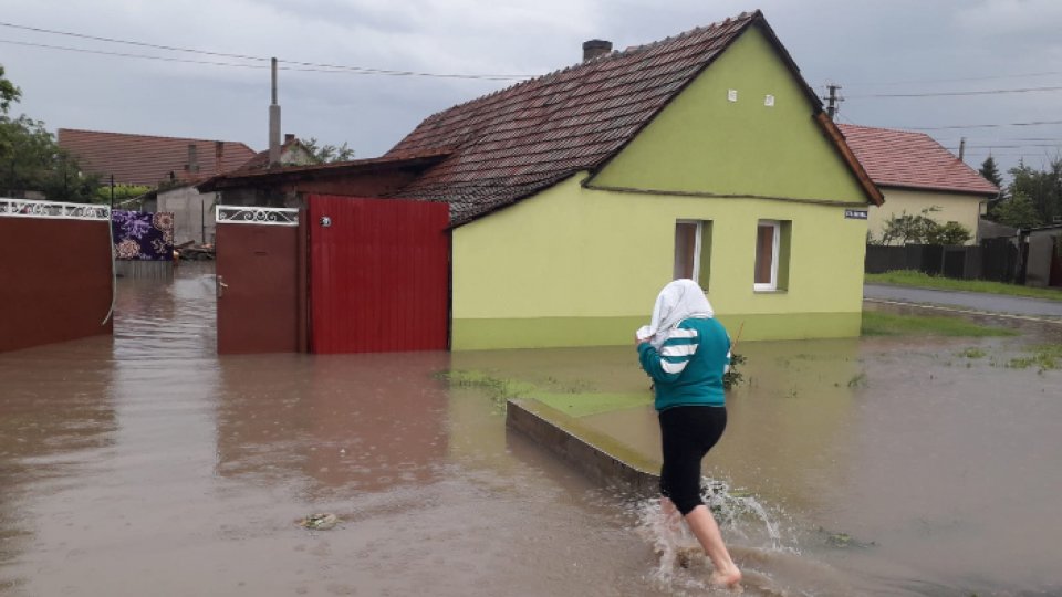 Zeci de locuinţe, curţi, subsoluri şi anexe, inundate de ploile de ieri