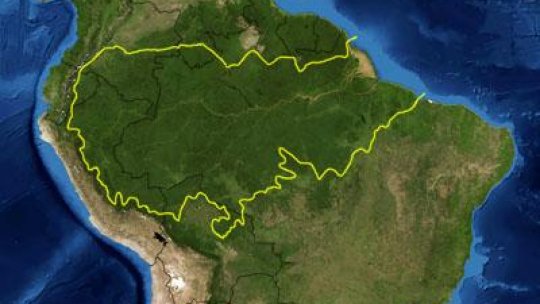 Despădurirea din Amazonia are legătură cu grupurile criminale
