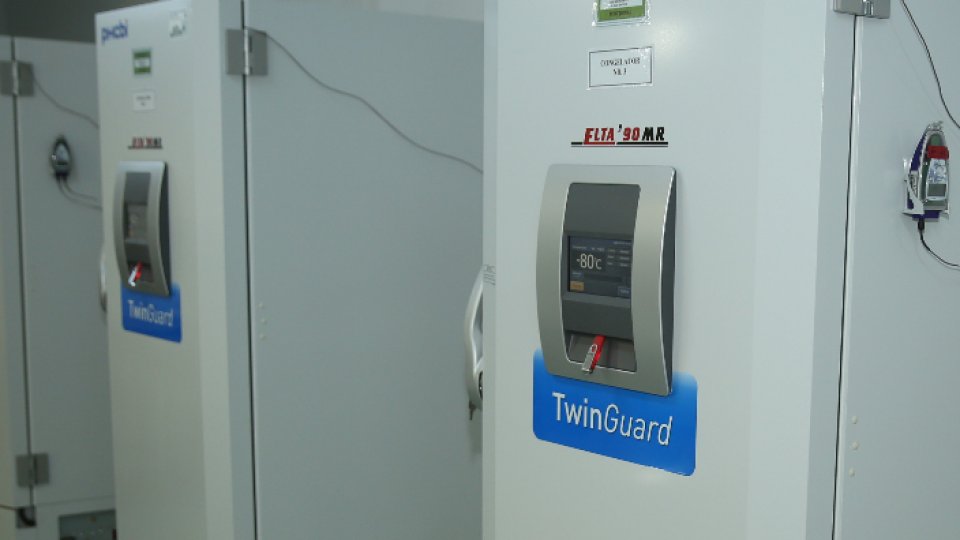 Realizarea ştiinţifică a anului