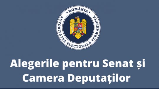 Preşedintele AEP, despre plicurile cu voturi care nu au ajuns în țară