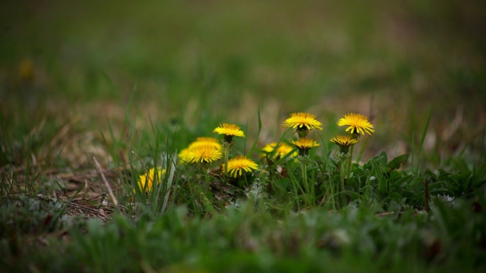 Vremea se încălzeşte în următoarea perioadă