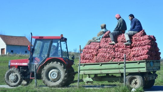 Mii de agricultori spanioli au ieşit în stradă cerând „preţuri juste”