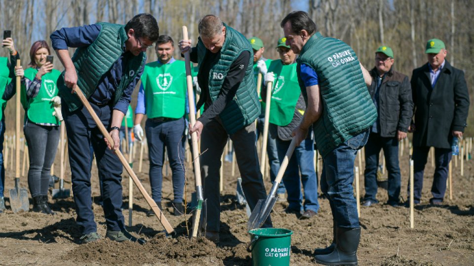 Prima Campanie Naţională de Împădurire în România