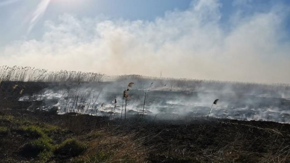 Periș: Incendiul de la fosta fermă de porci nu a fost stins
