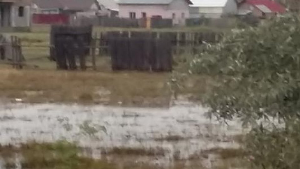 Peste 100 de locuinţe şi gospodării din județul Ialomiţa au fost inundate