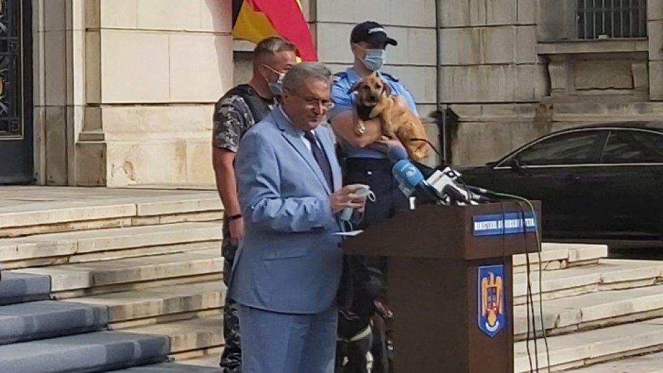 Se înființează Poliția Animalelor