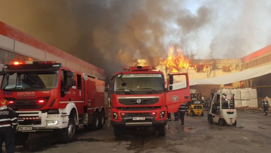 Incendiu la depozitul de rumeguş al unui combinat în Drobeta Turnu Severin