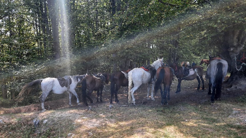 O drumeție în șa