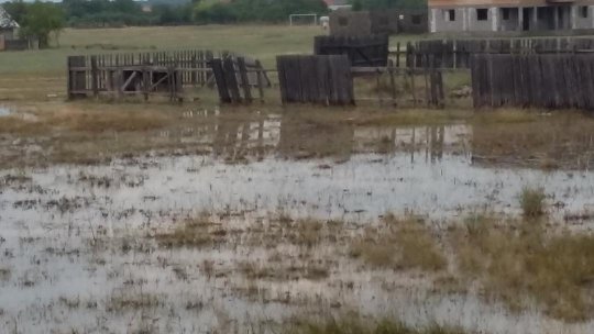 Cod portocaliu de inundaţii ptr Caraş-Severin,Gorj,Mehedinţi,Vâlcea,Argeş
