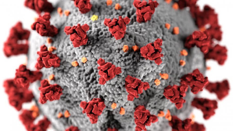 OMS analizează de urgență noua tulpină africană a coronavirusului
