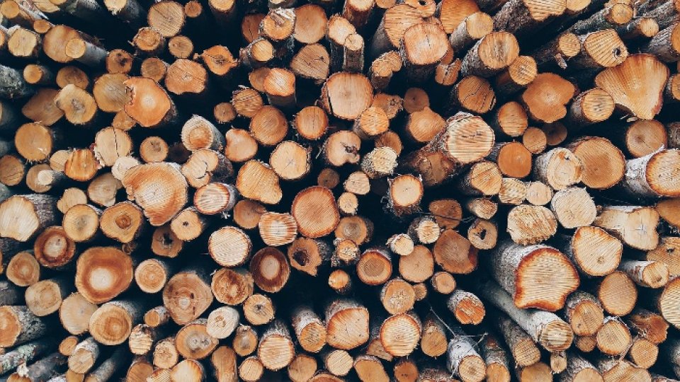 TVA pentru livrarea lemnelor de foc a fost redusă la 5%