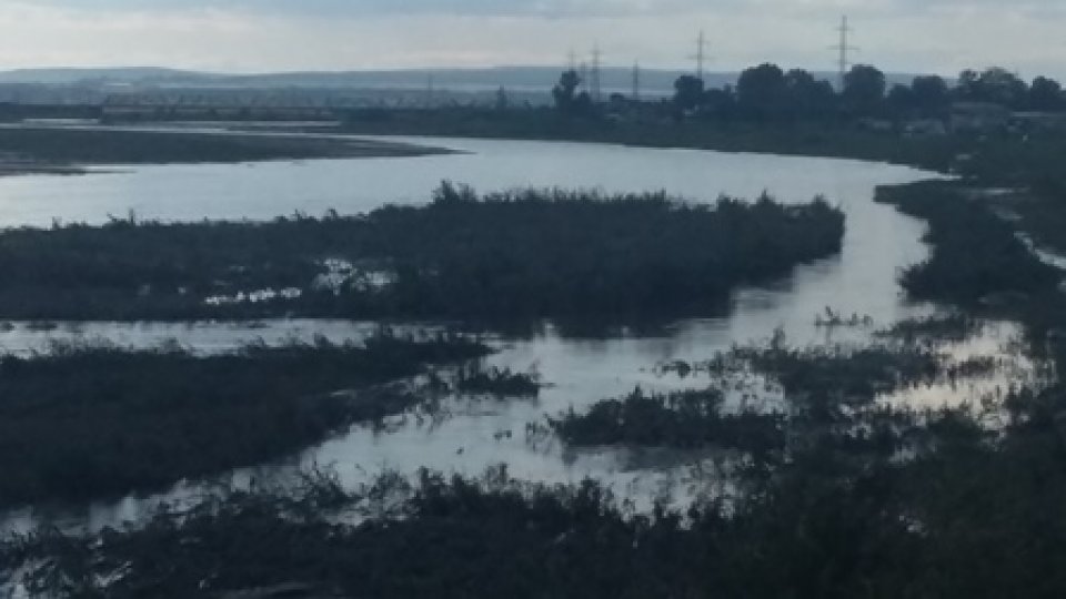Sute de hectare de teren agricol inundate în zona Almaş - Județul Arad