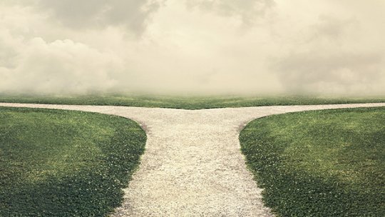 „Rotativa guvernamentală din timpul lui Carol I”