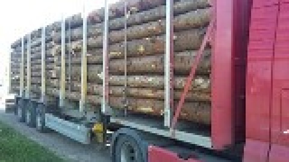 Suceava:transportatorii de material lemnos monitorizați de Garda Forestieră