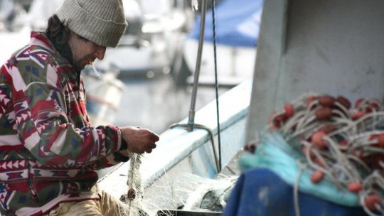 Pescuitul scrumbiei este interzis de astăzi în Delta Dunării