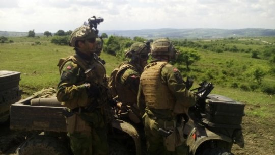 The presidents of Romania and Poland, present at a military exercise