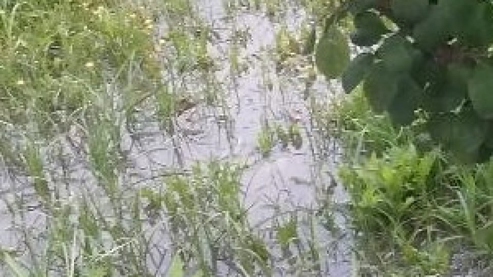 Cod Portocaliu și Cod Galben de inundaţii în 6 bazine hidrografice