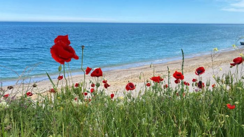 Studiu: Un român rezervă în fiecare minut o vacanţă la Marea Neagră