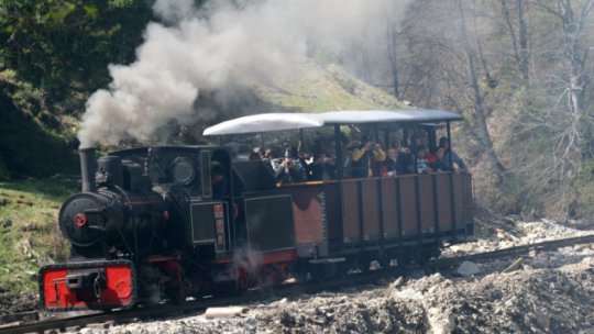 Traseul mocăniţei de la Moldoviţa, blocat cu un bolovan de câțiva săteni