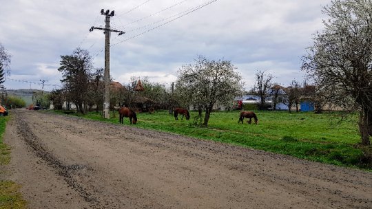 În România, o gospodărie rurală din zece are canalizare