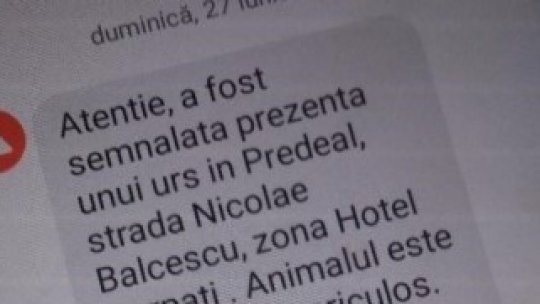 Manifestaţie ptr intervenţii rapide asupra urșilor care intră în localități