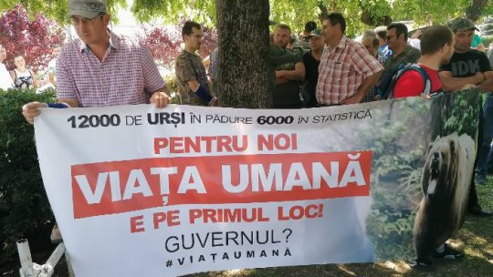 Protest la Reghin. Se cer măsuri în cazul urşilor periculoşi