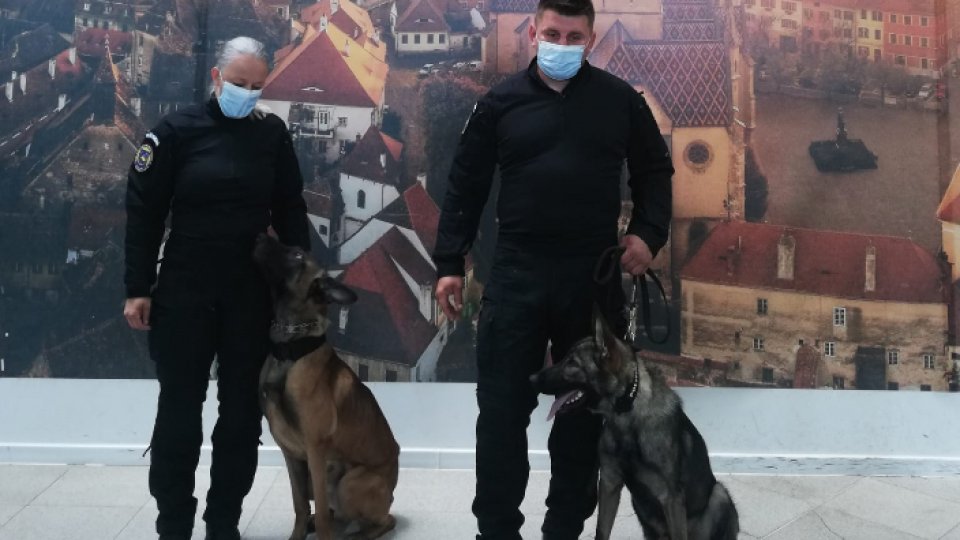 Aeroportul din Sibiu: Câini dresați special pentru controlul anti-covid
