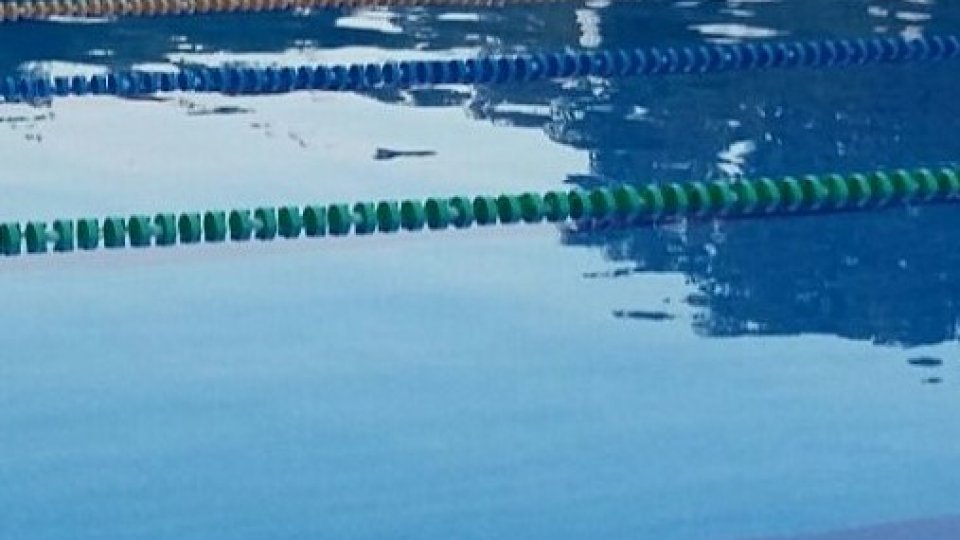Românul David Popovici-2 sutimi de o medalie olimpică la natație / JO-Tokyo