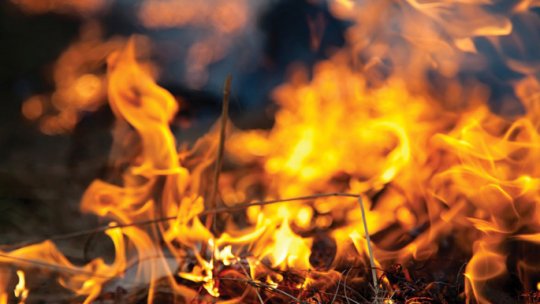 Nou incendiu de vegetație izbucnit în Mehedinți