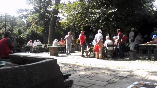 Propunere privind reabilitarea parcului Cişmigiu