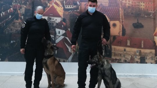 COVID-19 infected people, detected by a dog at Sibiu Airport