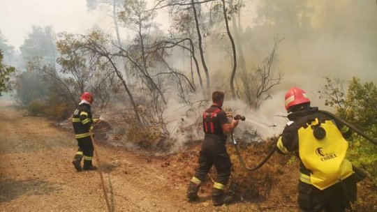Incendii pe insula Evia: Pompierii români, laudați în presa din Grecia