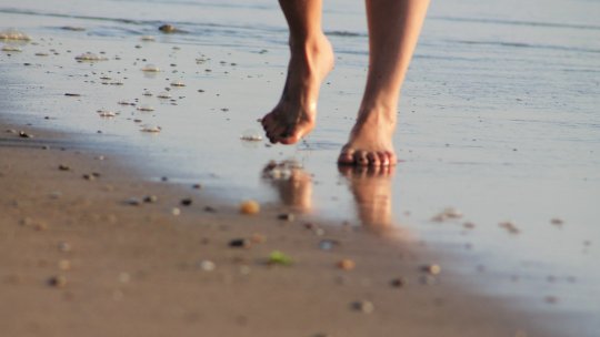 Marele premiu al Salonului de Invenţii Timișoara a fost câștigat de UTCN