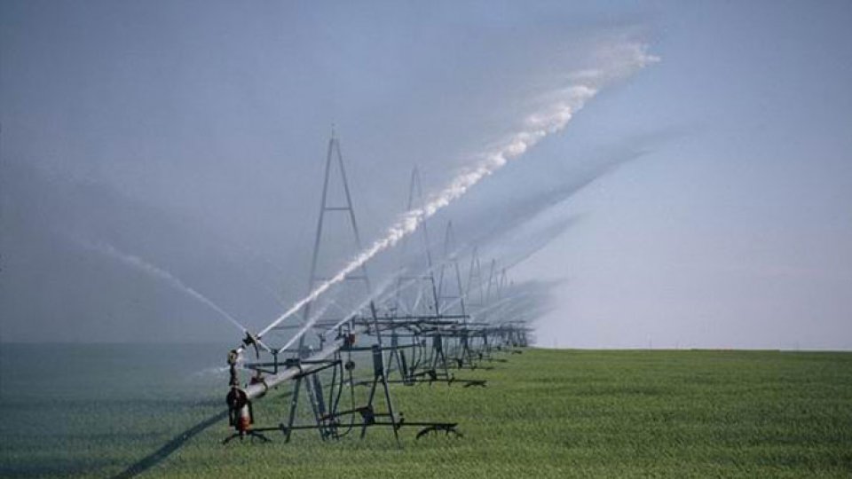 Insuficiența irigațiilor, „o problemă majoră” a agriculturii românești