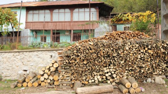 Ordonanța de plafonare a prețului lemnului de foc nu are eficiență 