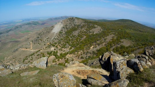 Lupul va fi reintrodus în Munții Măcinului