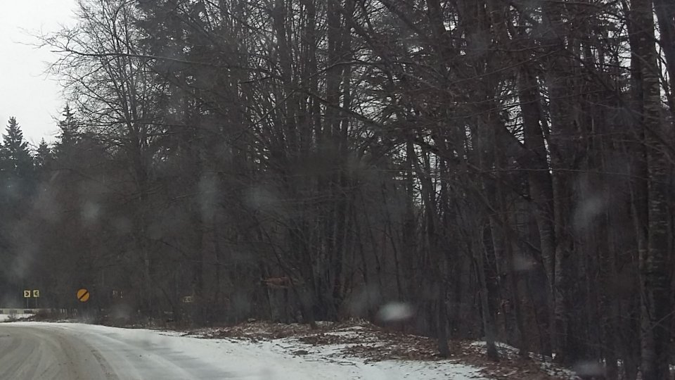 Sectoarele de la altitudine mare ale Transfăgărăşanului şi Transalpinei rămân încă deschise