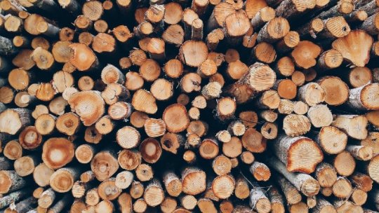 Ordonanța privind plafonarea prețului la lemnele de foc