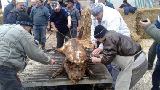A fost depistat primul caz de trichineloză la un porc sacrificat în gospodărie