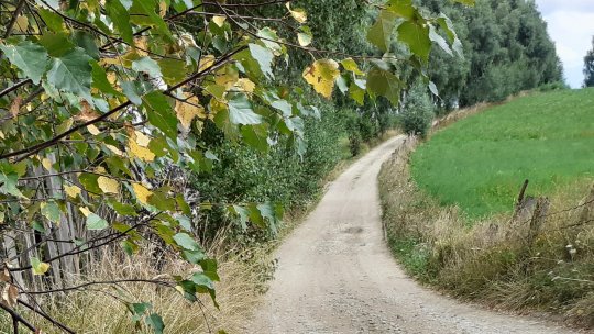 Regiunea Colinele Transilvaniei certificată ca destinaţie eco-turistică