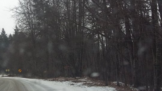 Meteorologii anunță vreme neobișnuit de caldă pentru noaptea de Revelion